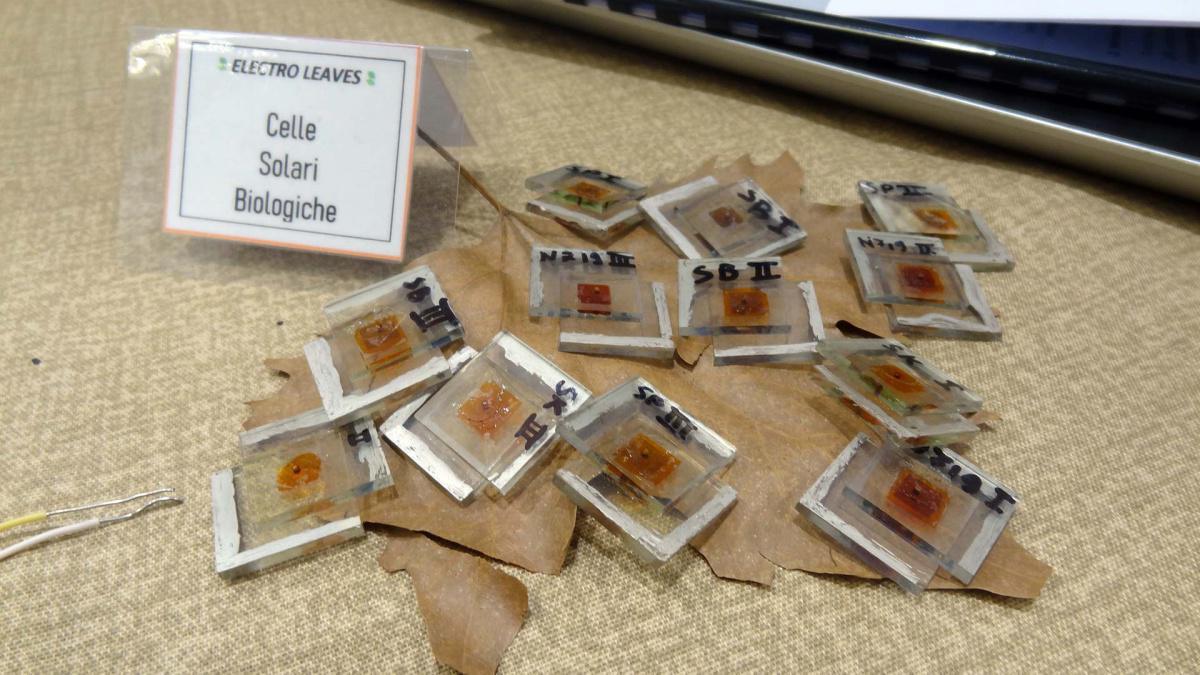 12. Electro Leaves: imitando madre natura per un futuro sostenibile 12. Electro Leaves: imitando madre natura per un futuro sostenibile