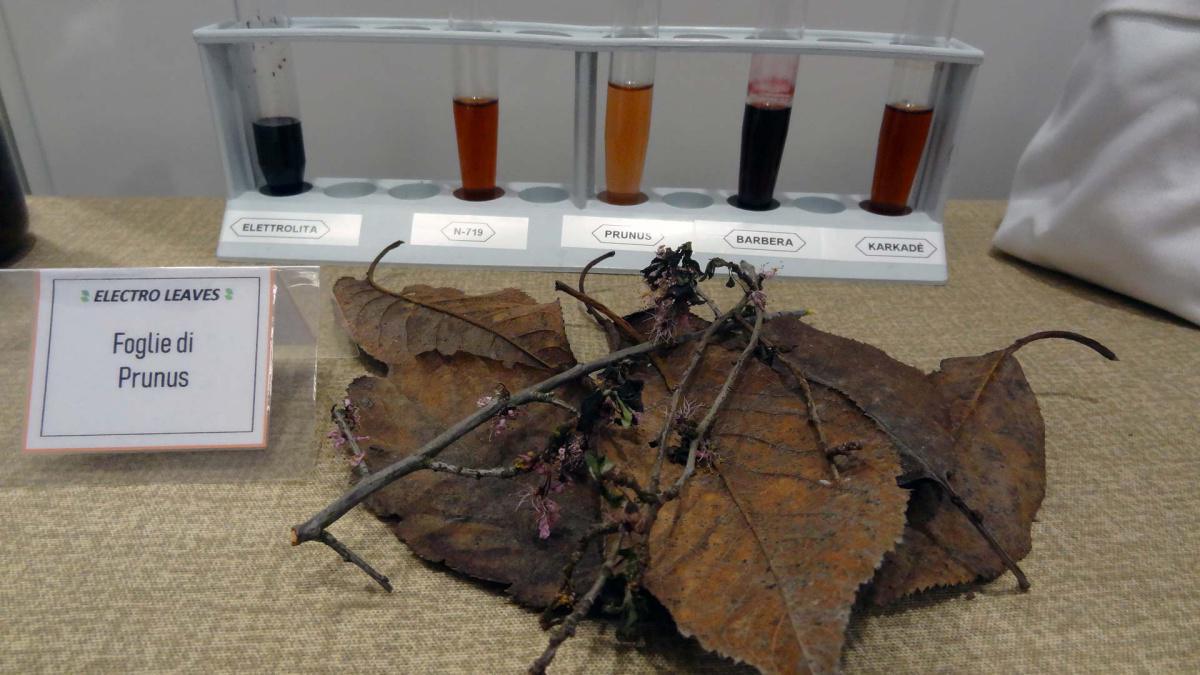 12. Electro Leaves: imitando madre natura per un futuro sostenibile 12. Electro Leaves: imitando madre natura per un futuro sostenibile