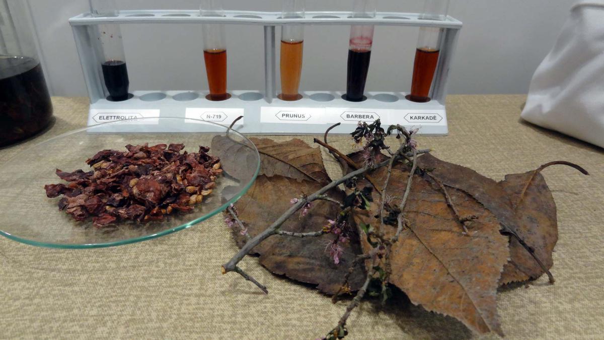 12. Electro Leaves: imitando madre natura per un futuro sostenibile 12. Electro Leaves: imitando madre natura per un futuro sostenibile