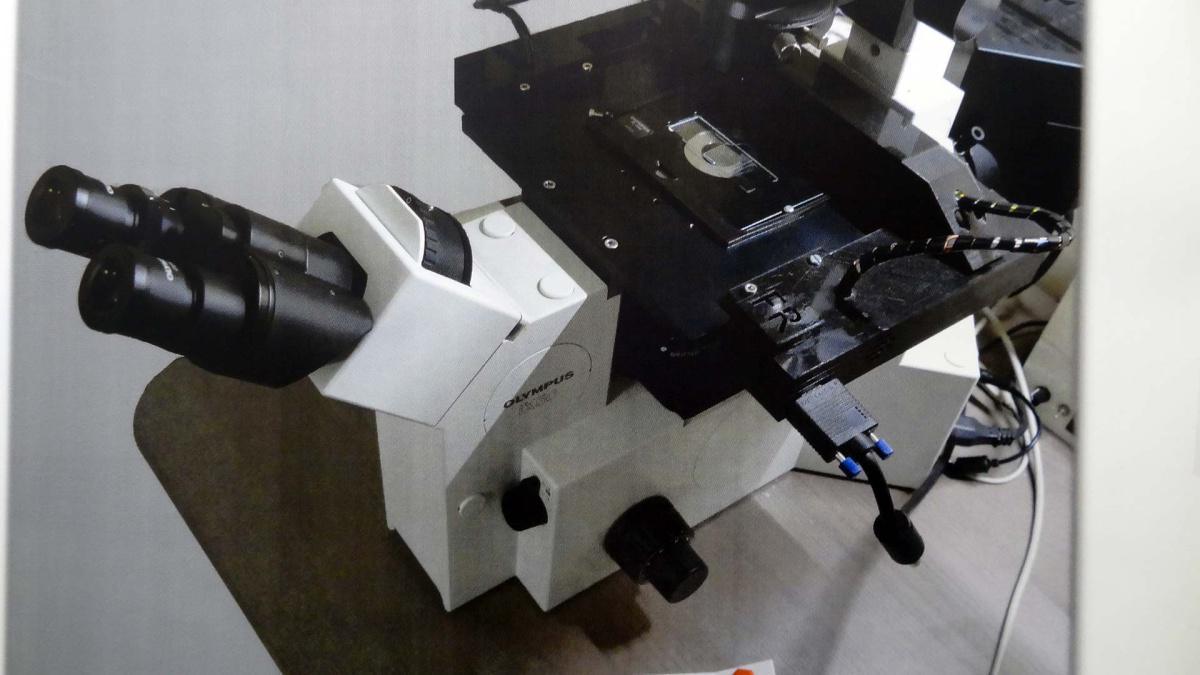 18. Piattaforma motorizzata per microscopi invertiti Olympus IX 50 e IX 70 18. Piattaforma motorizzata per microscopi invertiti Olympus IX 50 e IX 70