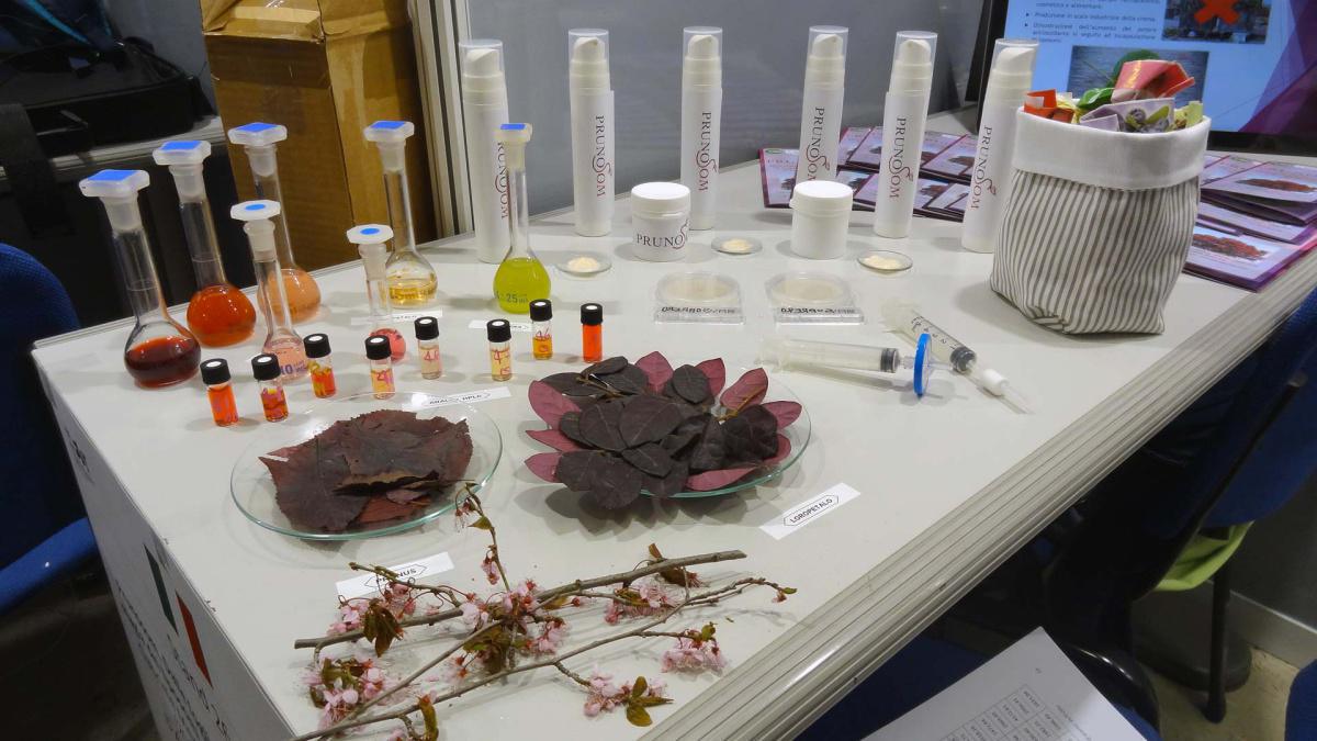 26. Prunosom. Dalle foglie alle creme anti-age: la magia dei liposomi e degli antiossidanti vegetali 26. Prunosom. Dalle foglie alle creme anti-age: la magia dei liposomi e degli antiossidanti vegetali