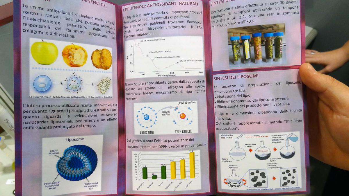 26. Prunosom. Dalle foglie alle creme anti-age: la magia dei liposomi e degli antiossidanti vegetali 26. Prunosom. Dalle foglie alle creme anti-age: la magia dei liposomi e degli antiossidanti vegetali