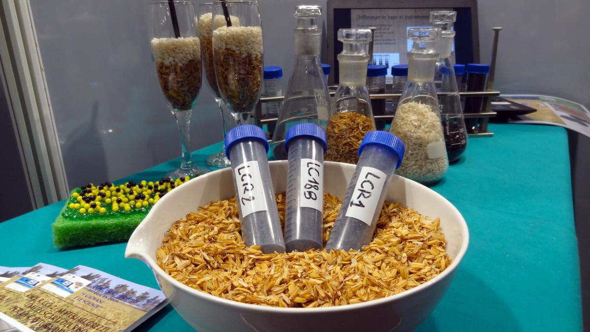 30. RICE.R.CO 2: materiali grezzi dagli scarti del riso per la cattura della CO2 30. RICE.R.CO 2: materiali grezzi dagli scarti del riso per la cattura della CO2
