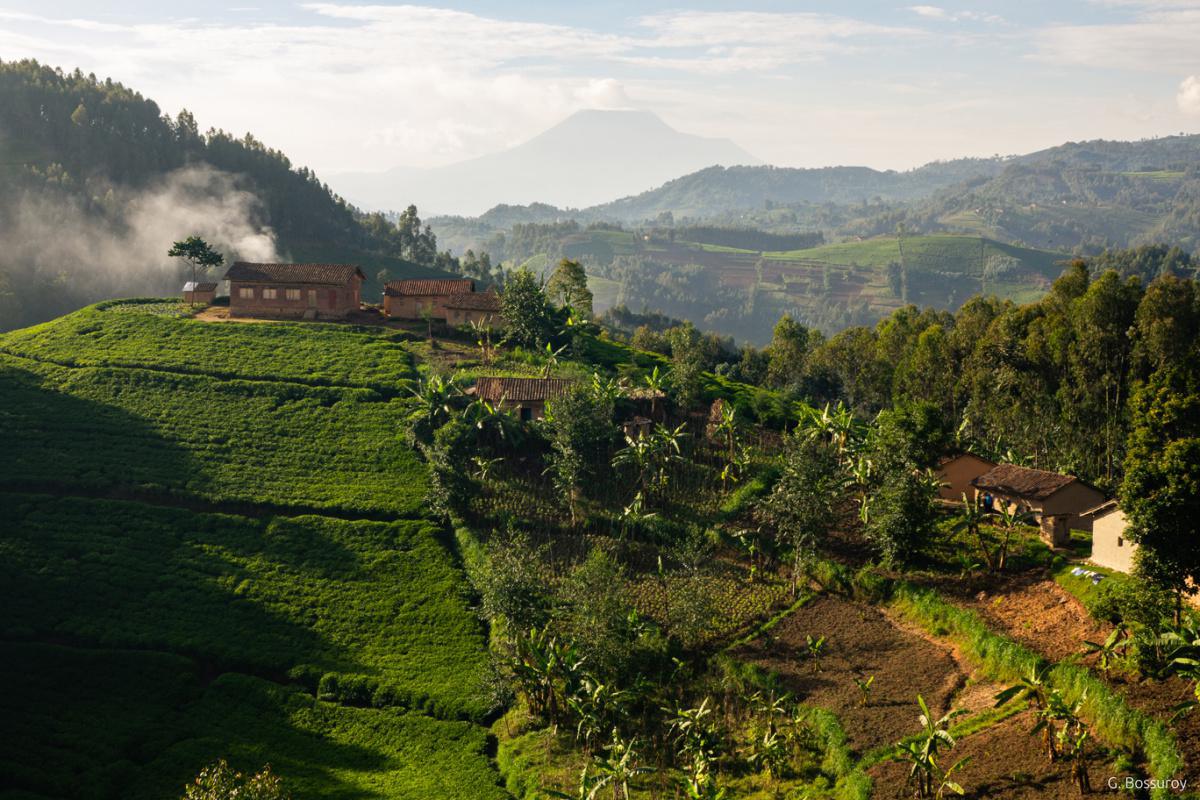 Paysages du Rwanda