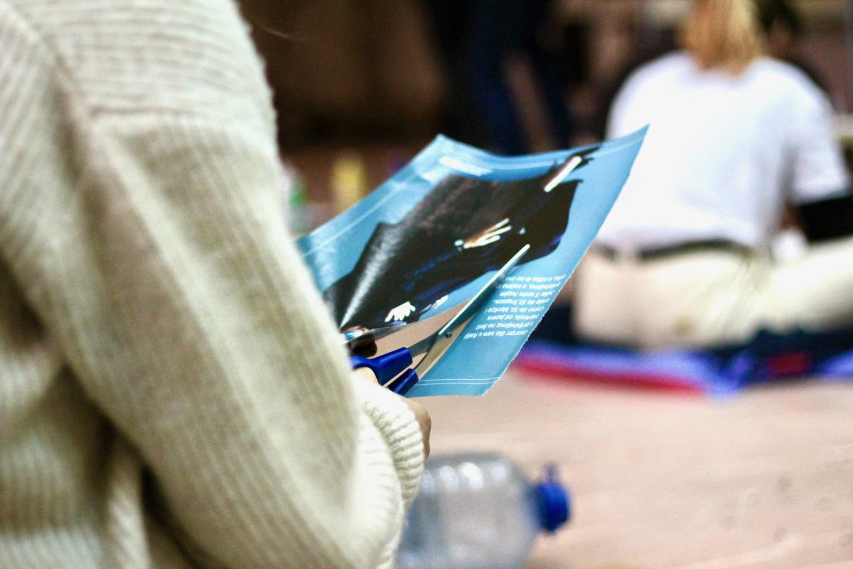 The Beauty through the Lens The Beauty through the Lens