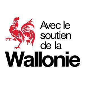 La forêt wallonne dans tous ses états