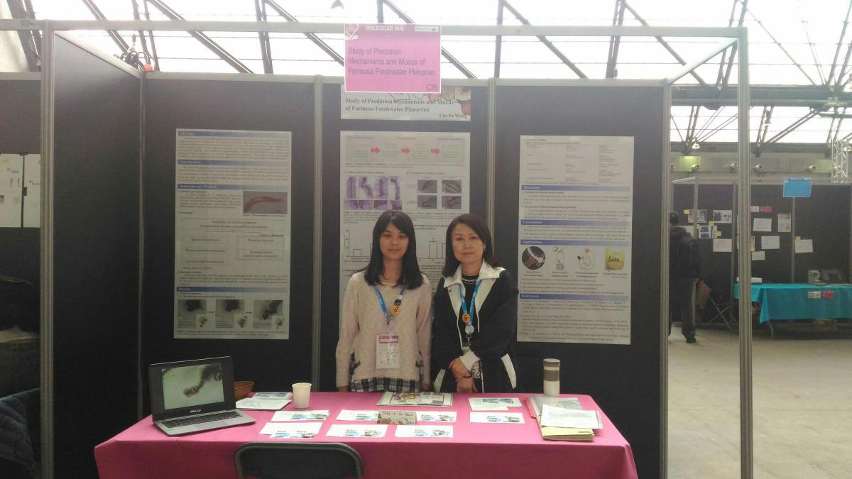 Predation mechanisms and mucus of Formosa Freshwater Planarian