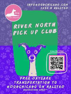 Dog. Hotel | Day Care LLC Dog. Hotel | Day Care LLC