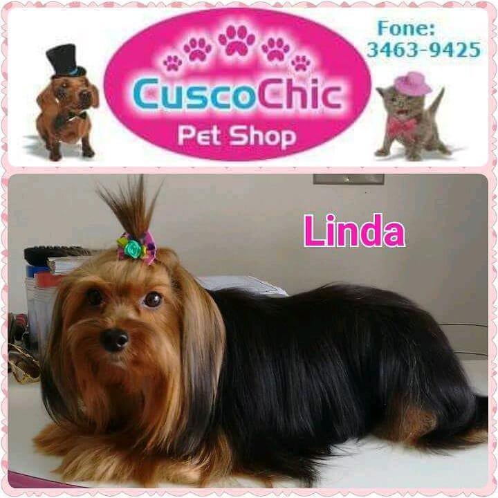 Cusco Chic Pet Shop