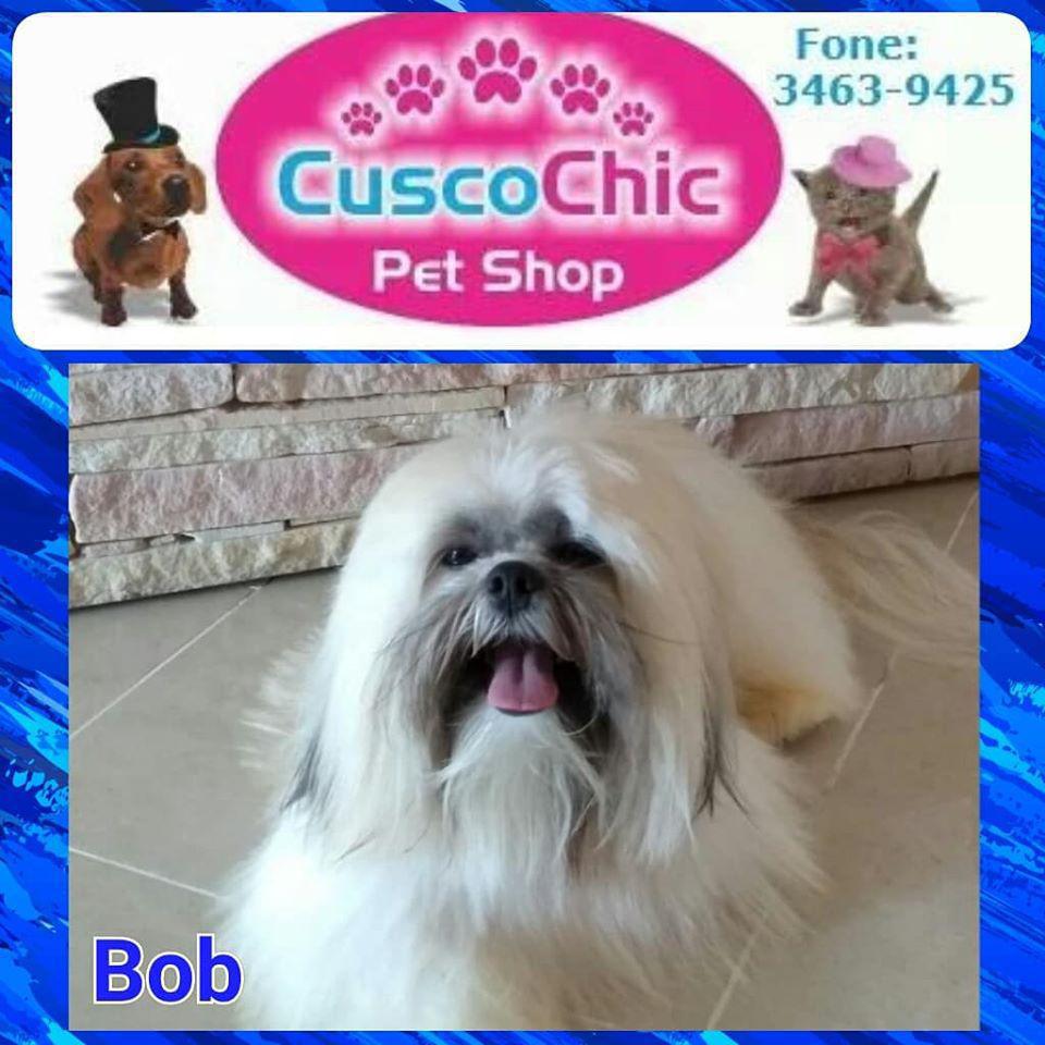 Cusco Chic Pet Shop