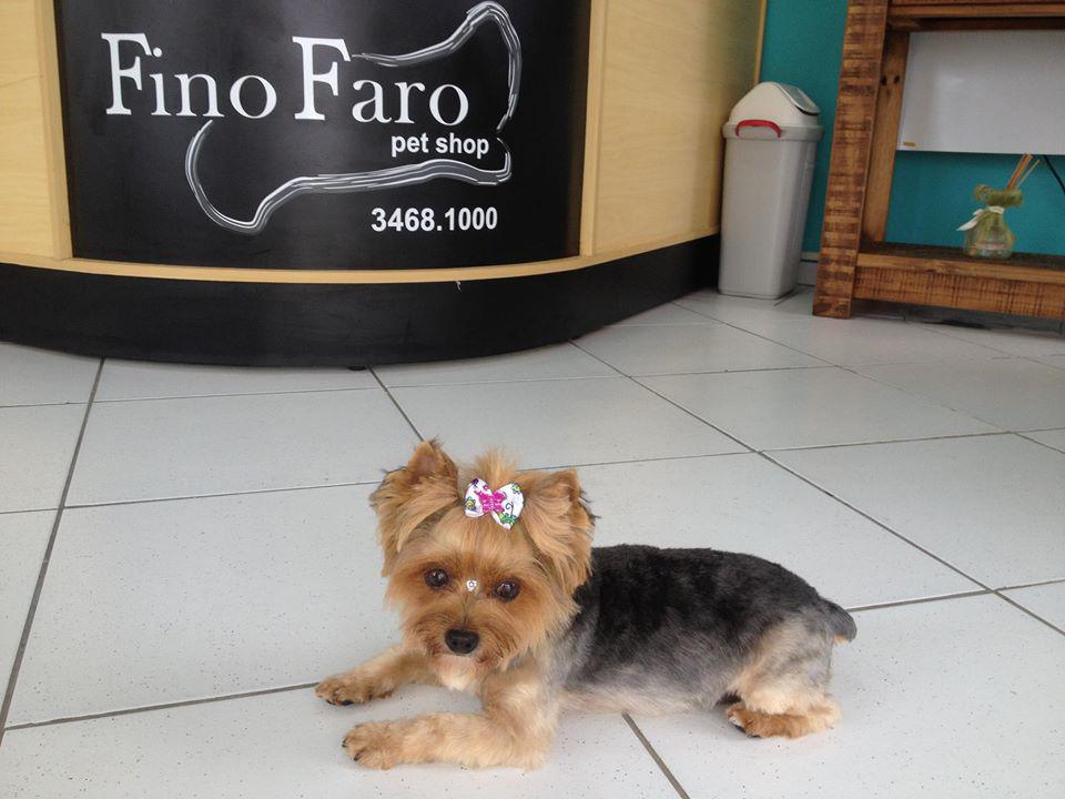 Fino Faro - Pet Shop