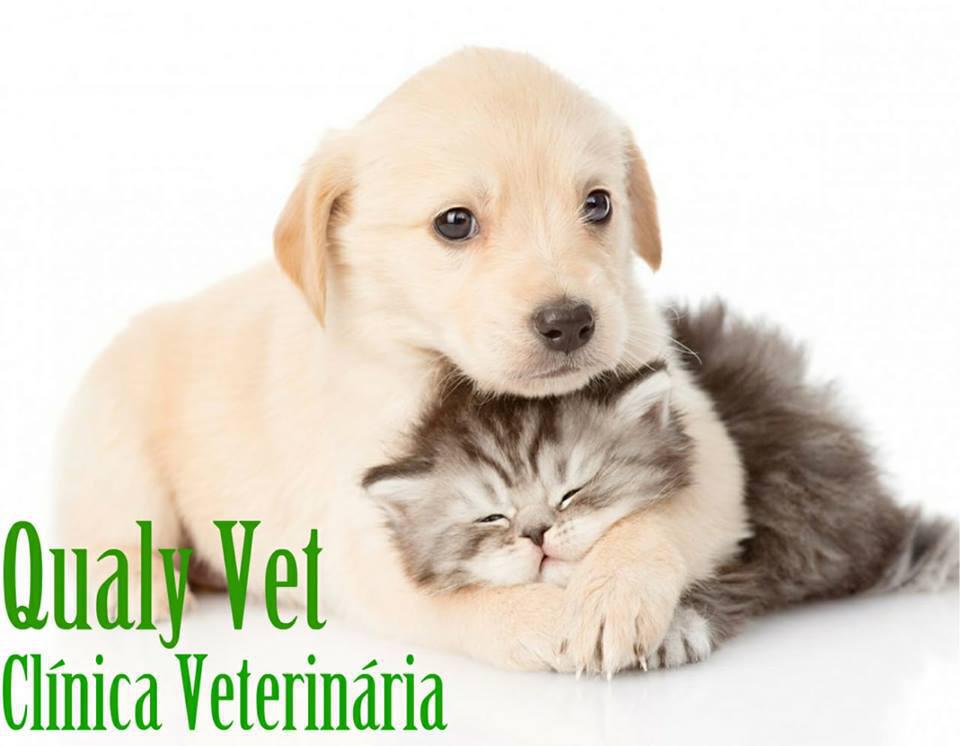 Qualivet Clínica Veterinária e Pet Shop