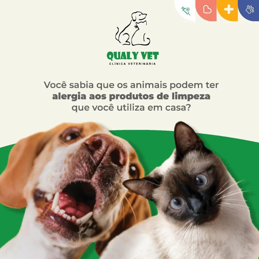 Qualivet Clínica Veterinária e Pet Shop