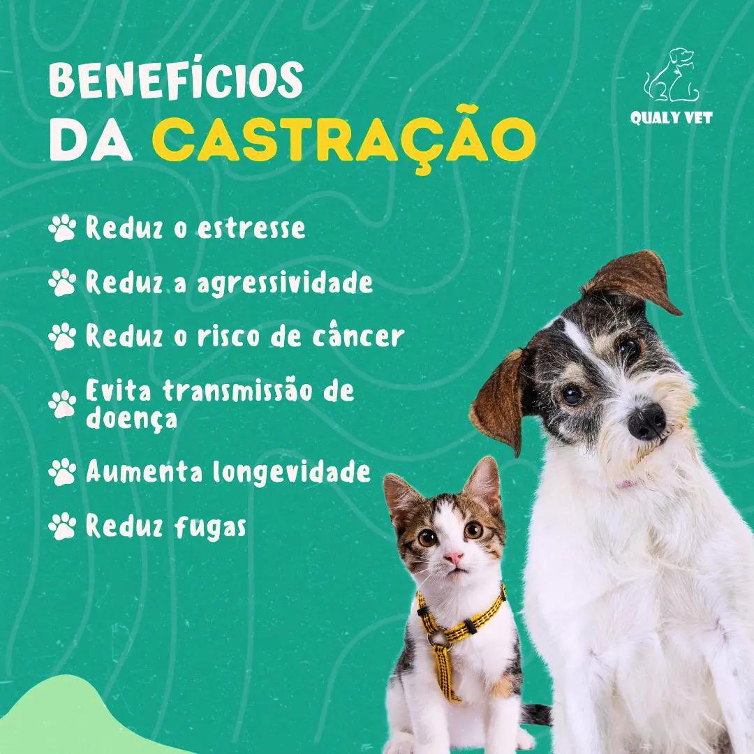 Qualivet Clínica Veterinária e Pet Shop