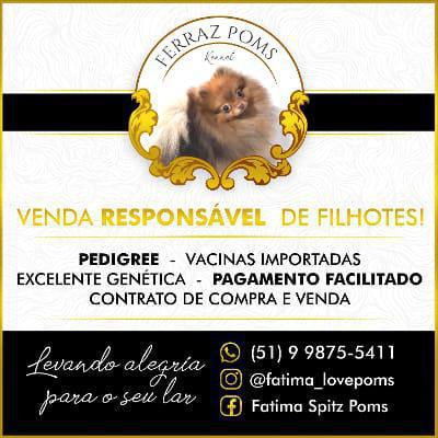 Ferraz Poms Kennel