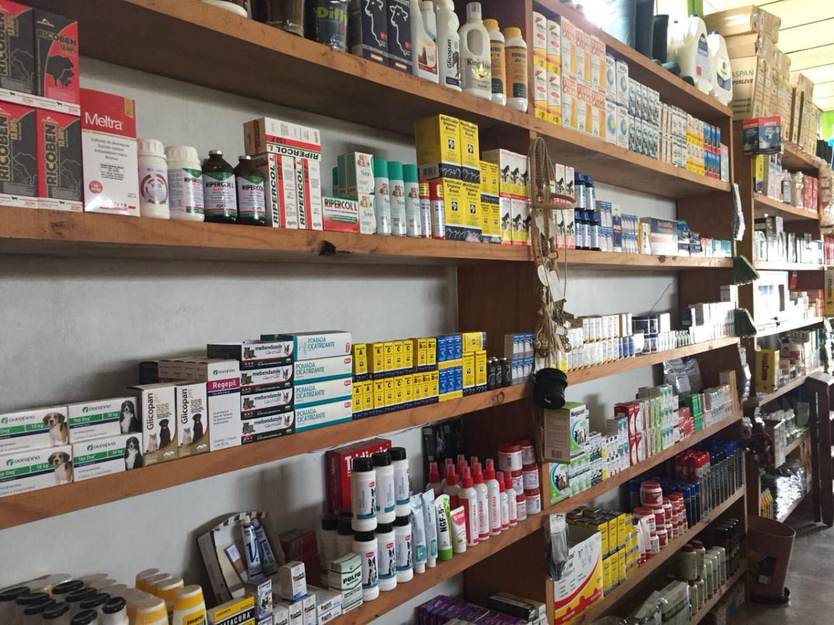 Dicas Agropecuária Dicas Agropecuária