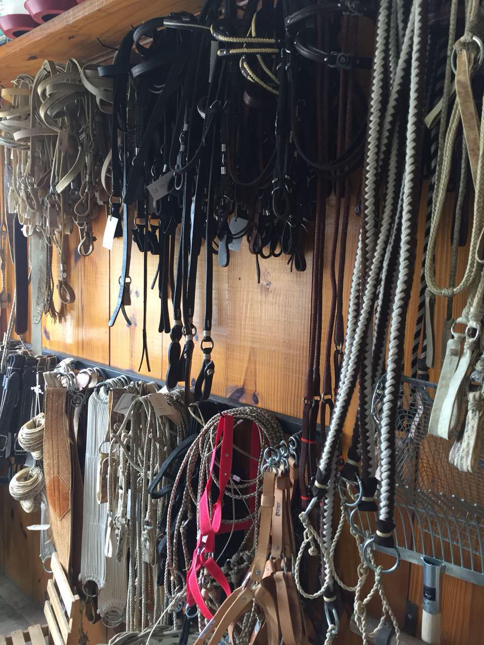 Dicas Agropecuária Dicas Agropecuária