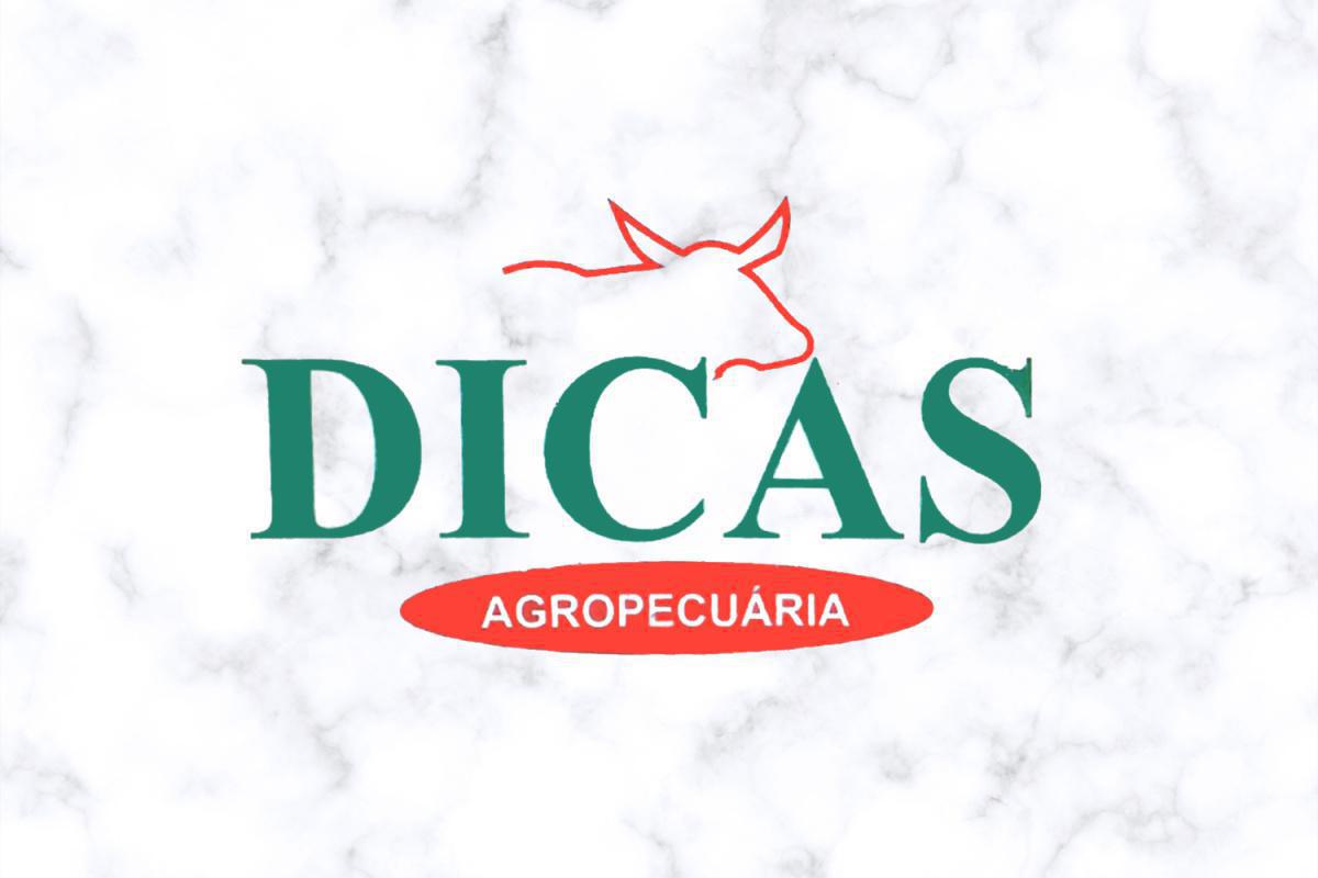 Dicas Agropecuária Dicas Agropecuária