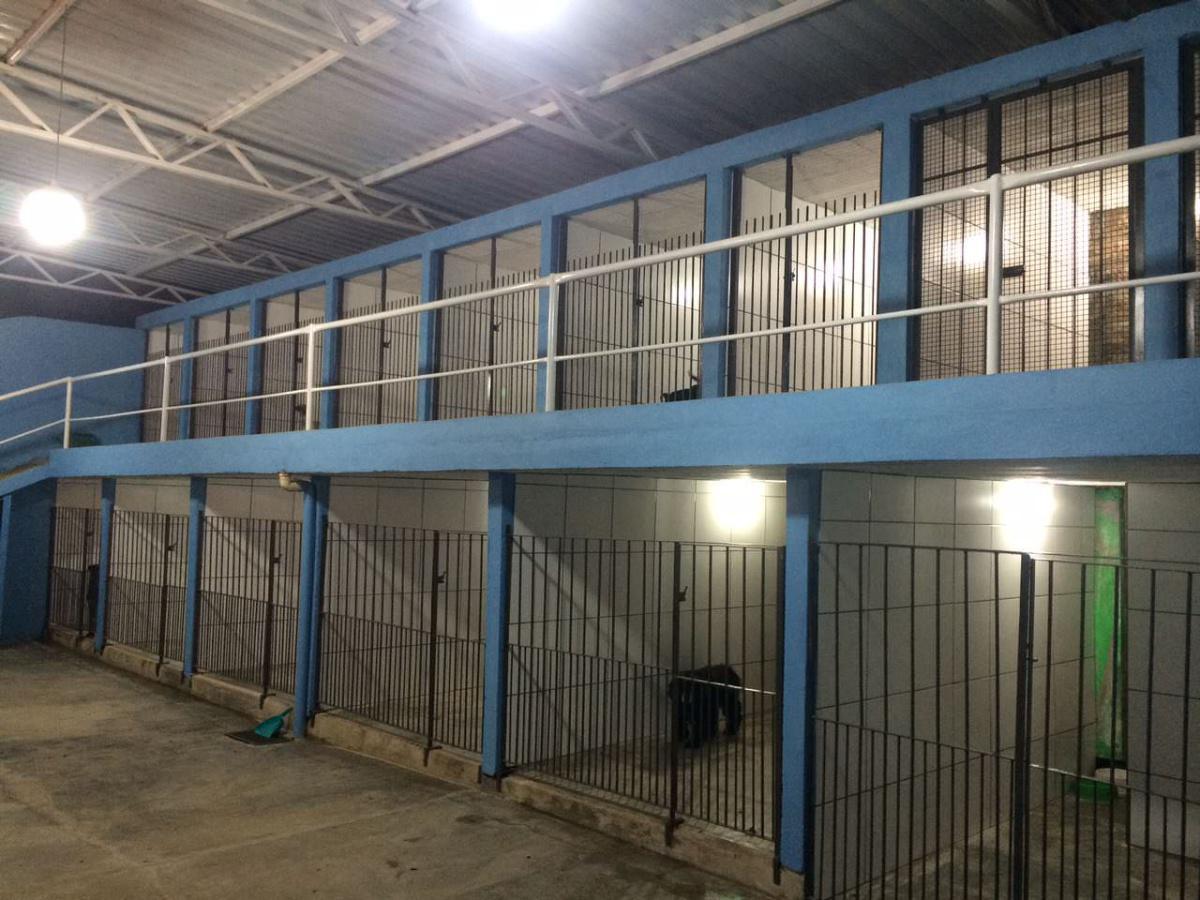 Pet Center Clínica Veterinária Pet Center Clínica Veterinária