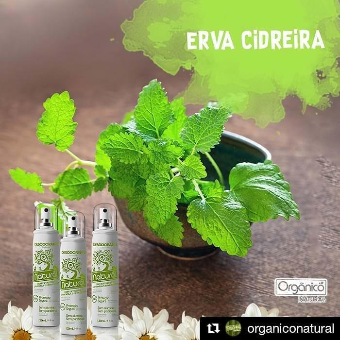 Matéria Prima Matéria Prima