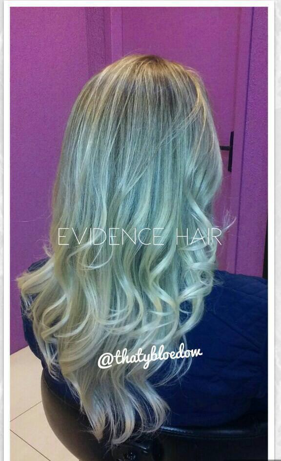 Evidence Hair Evidence Hair