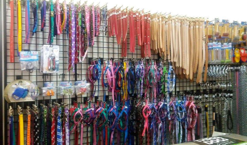 Galafassi - Campo e Cidade Galafassi - Campo e Cidade