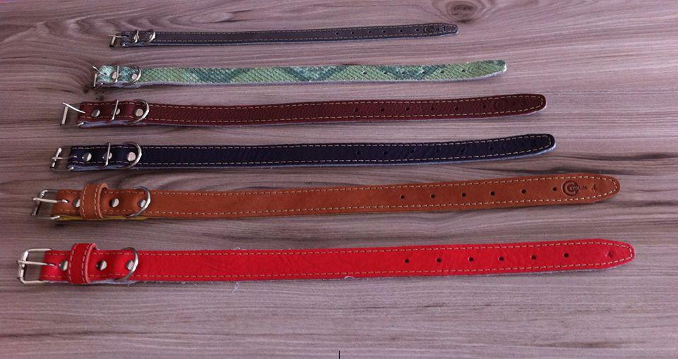 Pet Shop Pulo do Gato Pet Shop Pulo do Gato