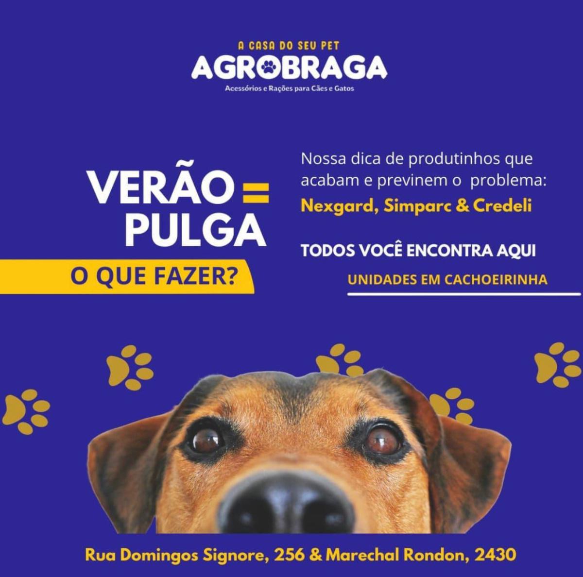 Agro Braga