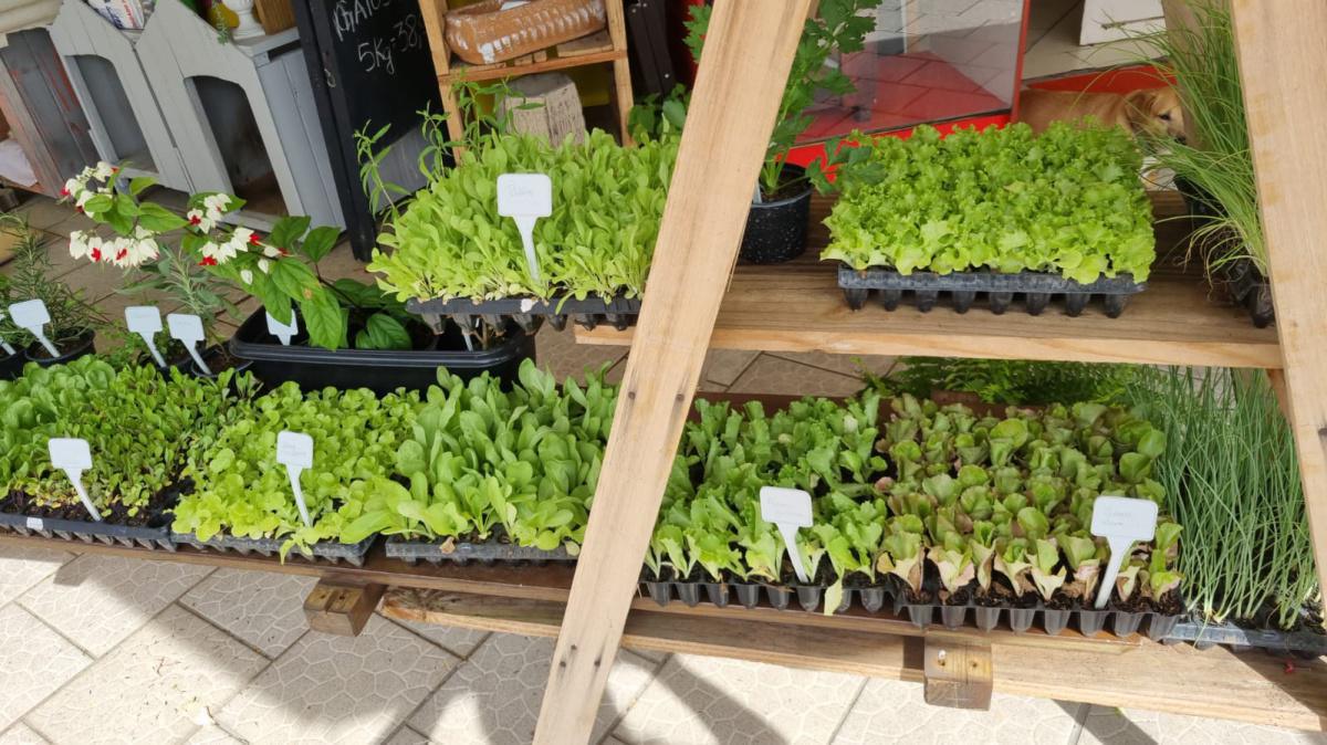 Agropet Esquina do Pet Agropet Esquina do Pet