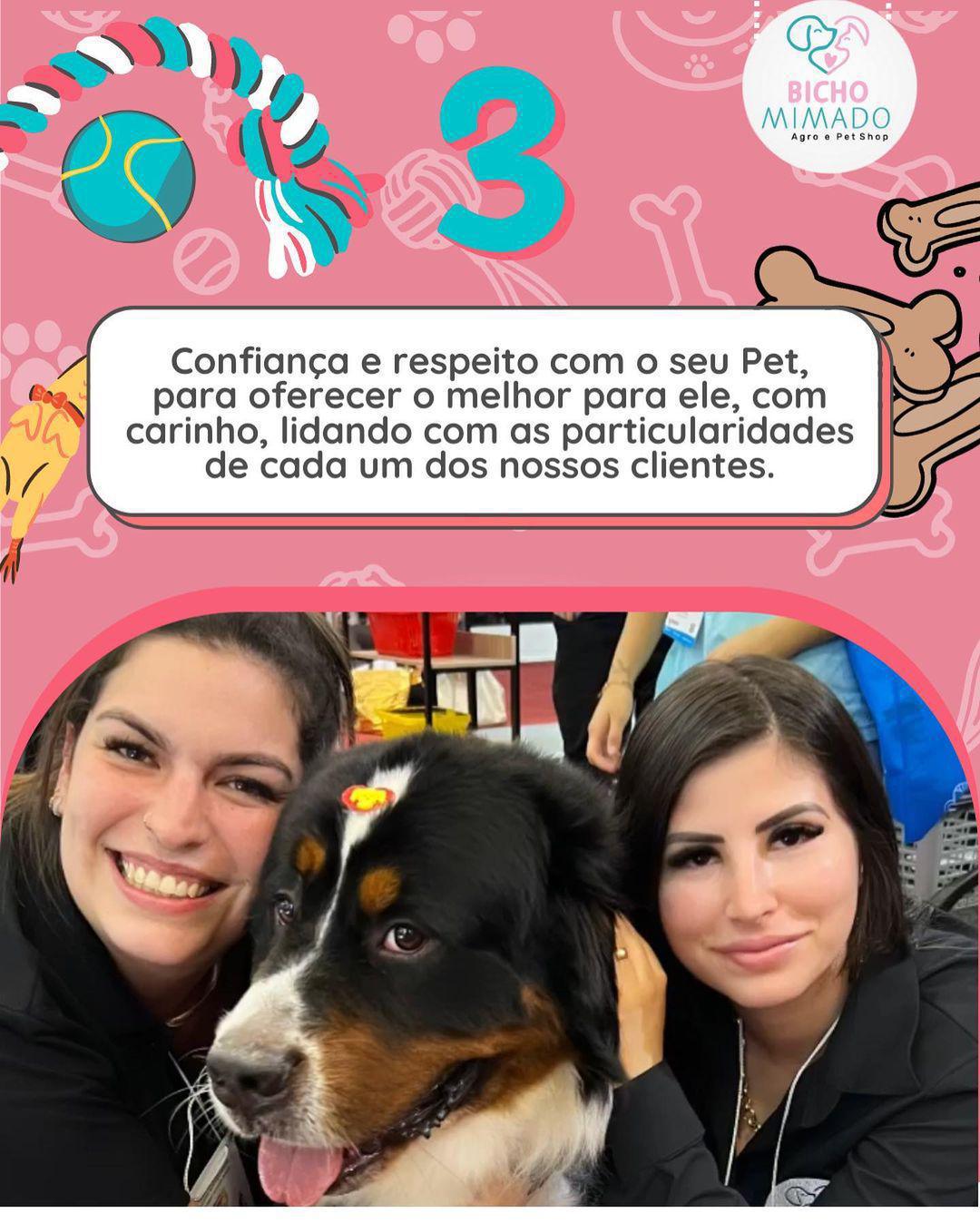 Bicho Mimado Bicho Mimado