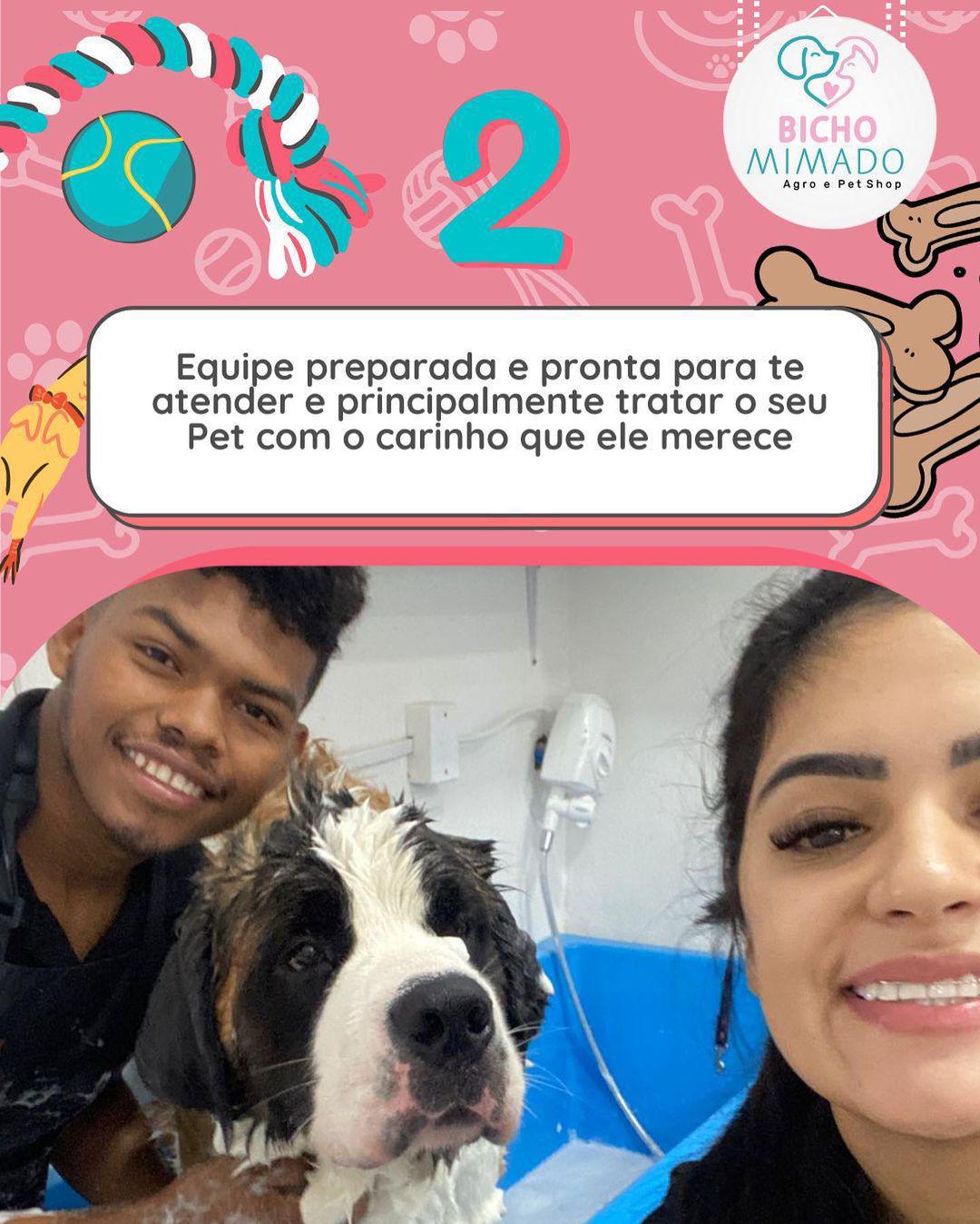 Bicho Mimado Bicho Mimado