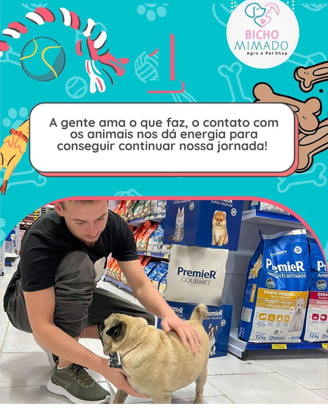 Bicho Mimado Bicho Mimado