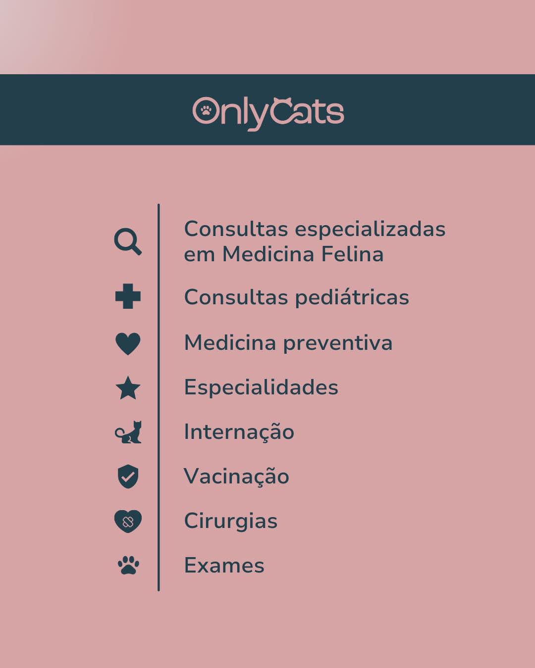 OnlyCats - Saúde Felina