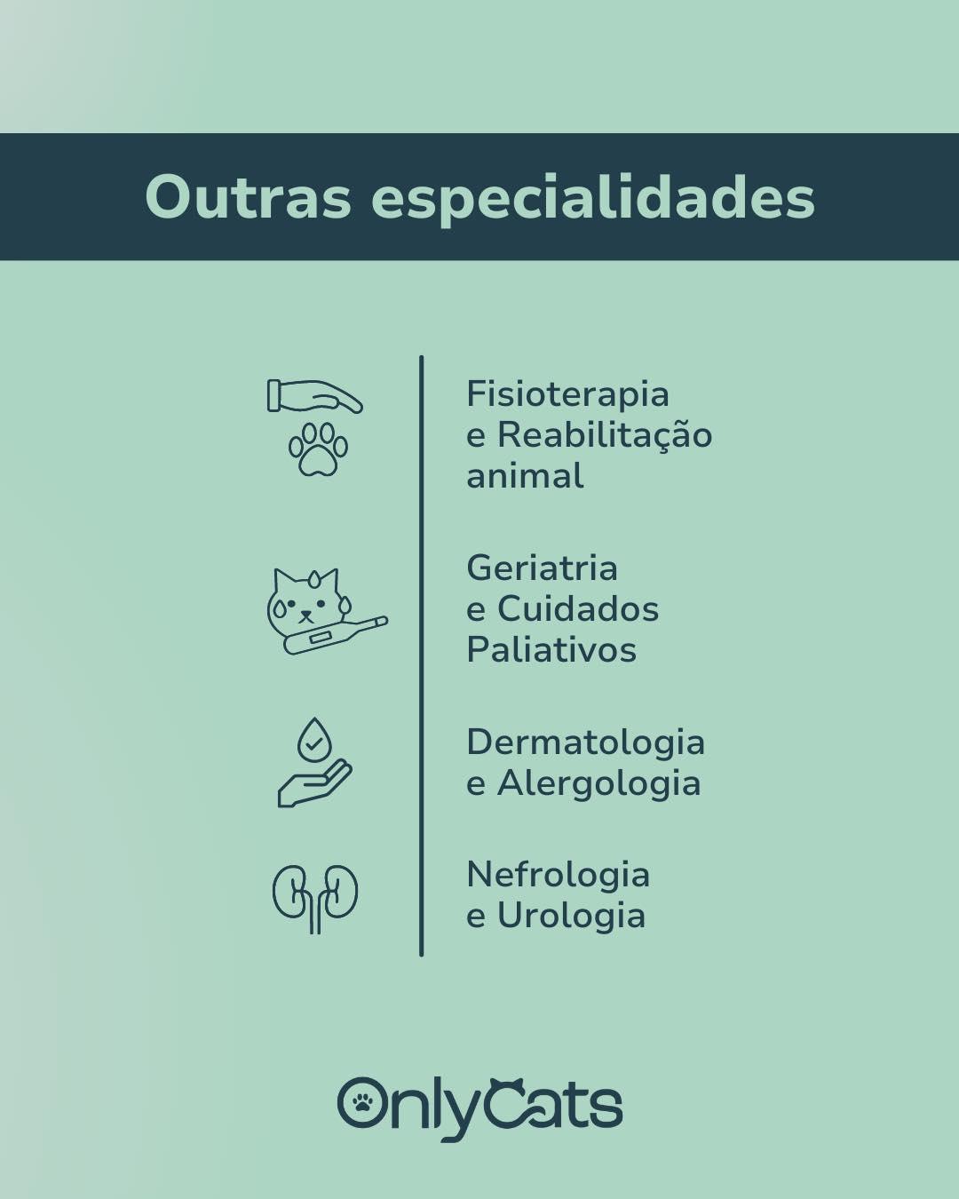 OnlyCats - Saúde Felina