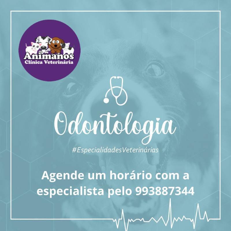  Clinica Veterinária Animanos