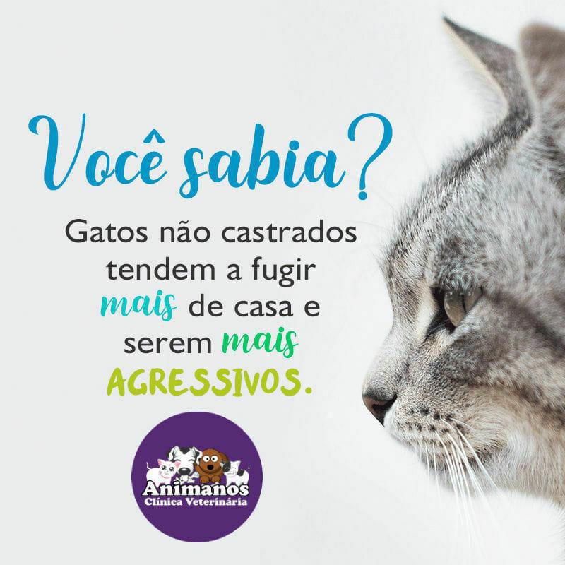 Clinica Veterinária Animanos Clinica Veterinária Animanos