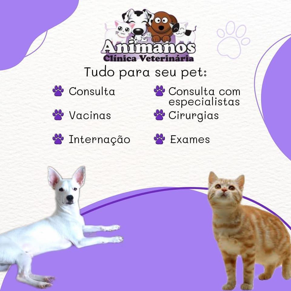  Clinica Veterinária Animanos