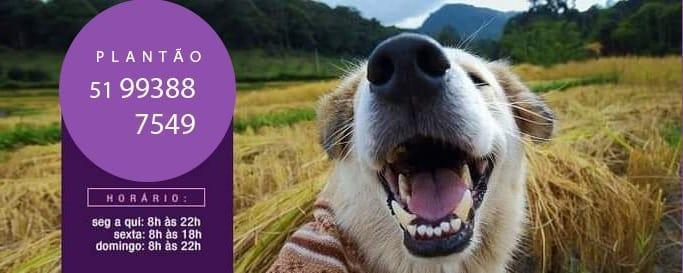 Clinica Veterinária Animanos Clinica Veterinária Animanos