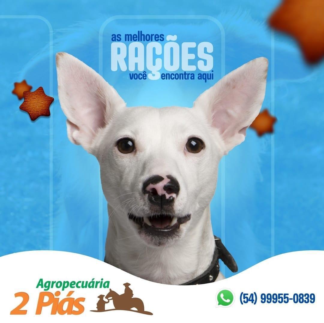 Agropecuaria 2 Piás Agropecuaria 2 Piás