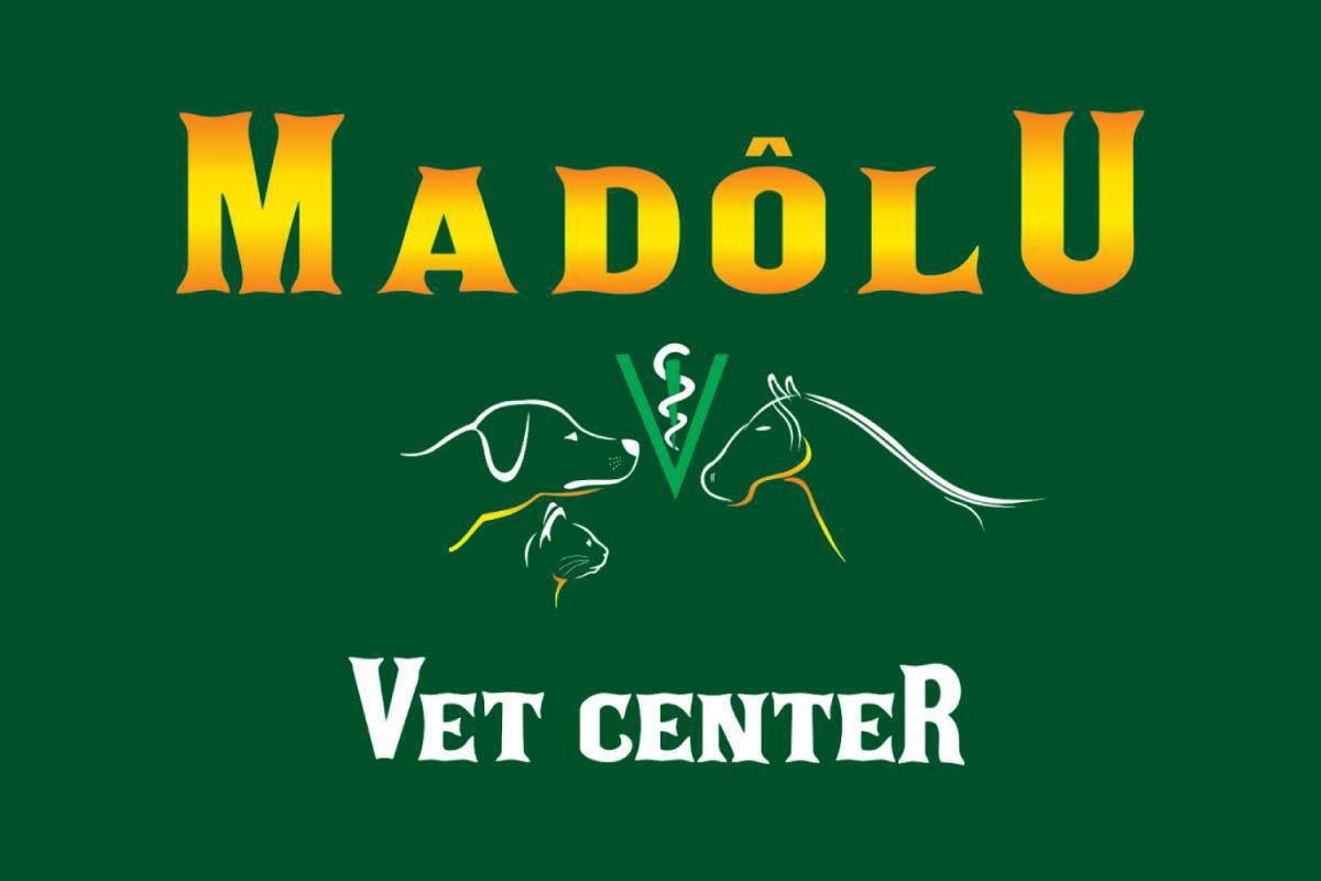 Madôlu Vet Center - Clínica e Farmácia Veterinária | ⭐Nota 4.9 no Google Madôlu Vet Center - Clínica e Farmácia Veterinária | ⭐Nota 4.9 no Google