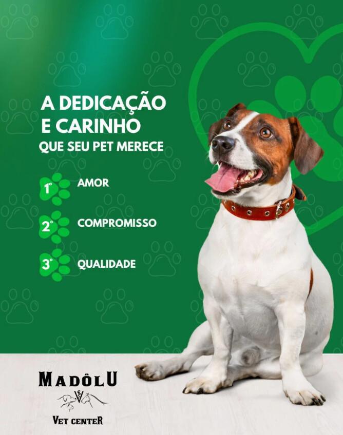 Madôlu Vet Center - Clínica e Farmácia Veterinária Madôlu Vet Center - Clínica e Farmácia Veterinária
