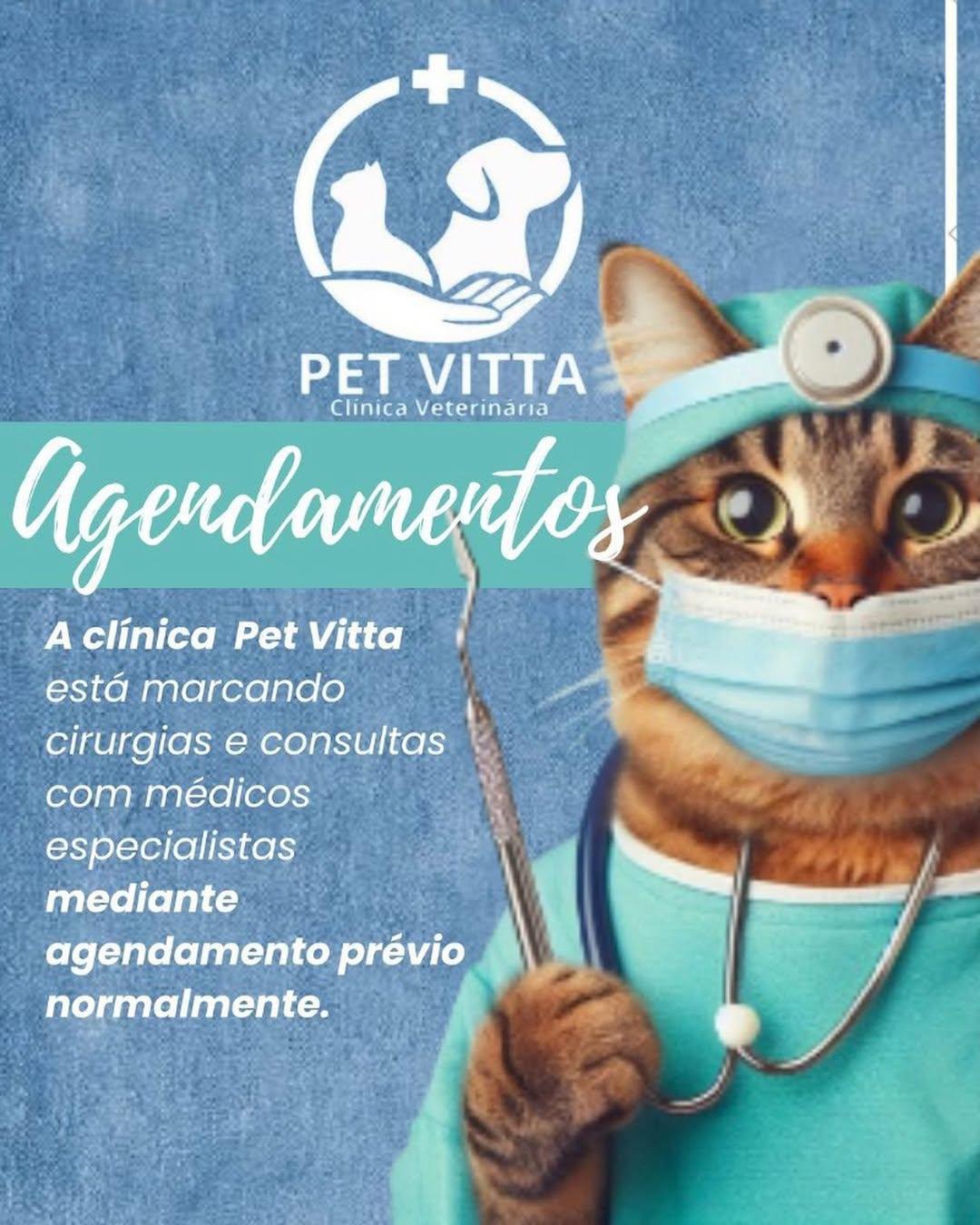 Pet Vitta Pet Vitta