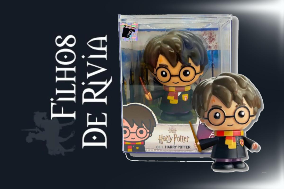 Fandon Box Harry Potter por R$ 119.90
