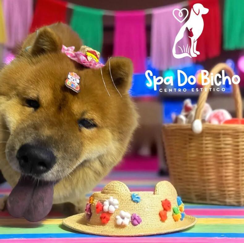 Spa do Bicho Centro Estético Banho e Tosa