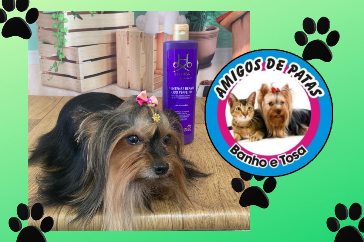 Hidratação para seu pet com 20% de desconto Hidratação para seu pet com 20% de desconto