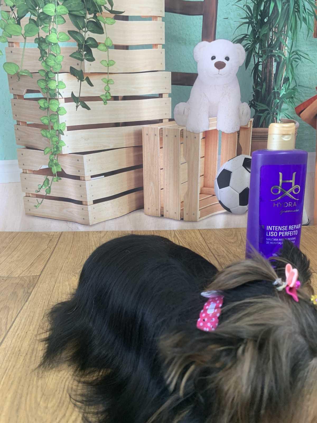 Hidratação para seu pet com 20% de desconto Hidratação para seu pet com 20% de desconto