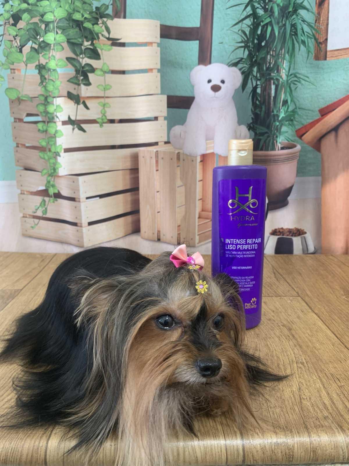 Hidratação para seu pet com 20% de desconto Hidratação para seu pet com 20% de desconto