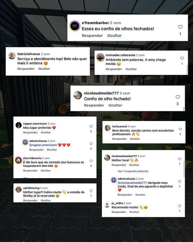 Don Dog Canoas Don Dog Canoas