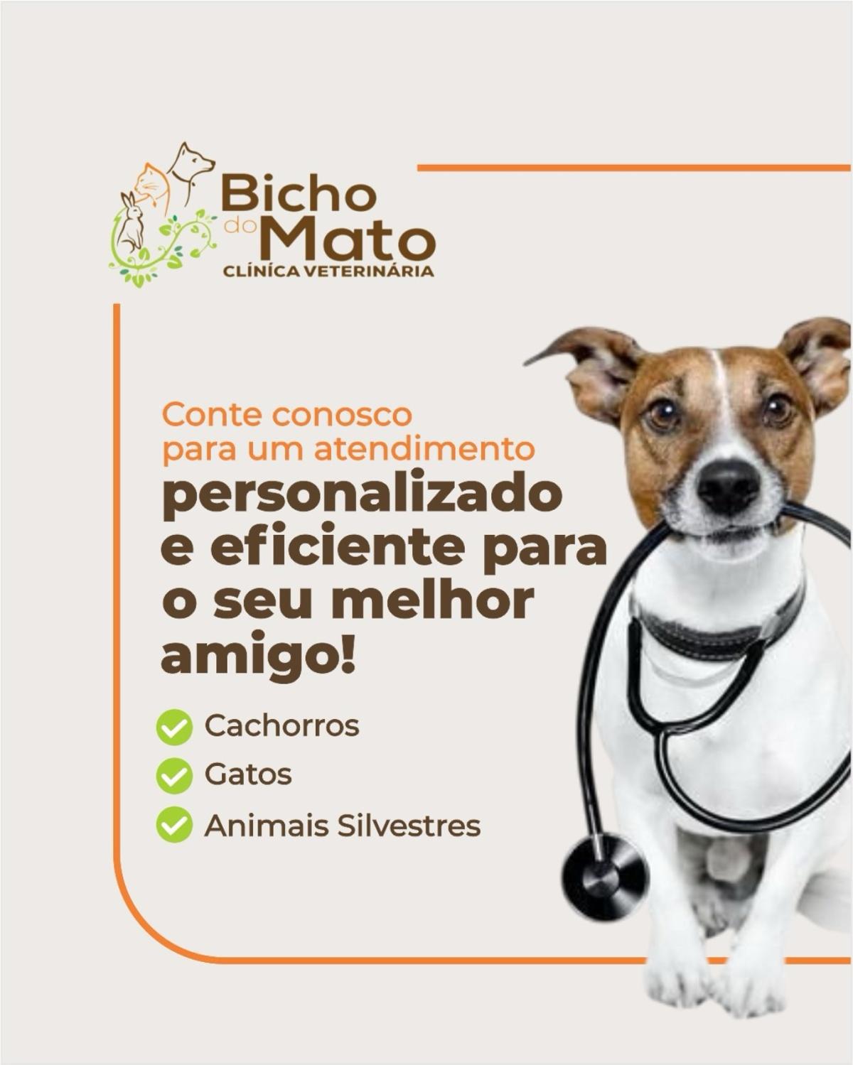 Bicho do Mato Clínica Veterinária Bicho do Mato Clínica Veterinária