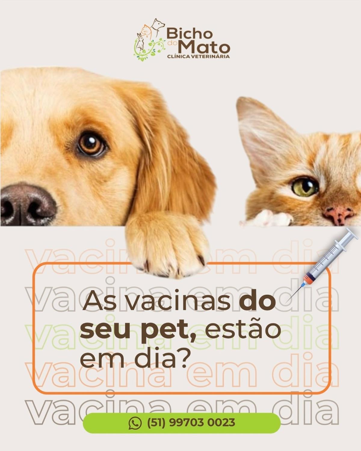 Bicho do Mato Clínica Veterinária Bicho do Mato Clínica Veterinária